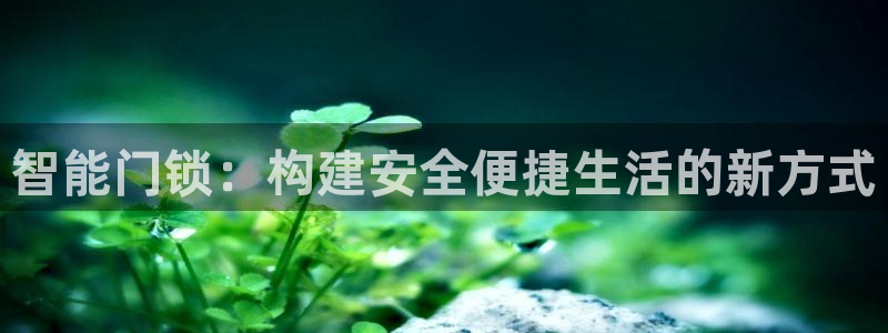 开丰娱乐平台地址：智能门锁：构建安全便捷生活的新方式
