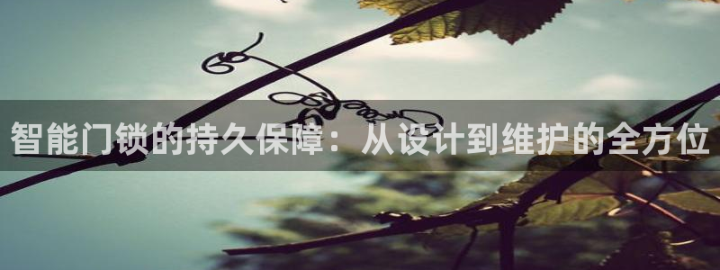 开丰娱乐app：智能门锁的持久保障：从设计到维护的全方位