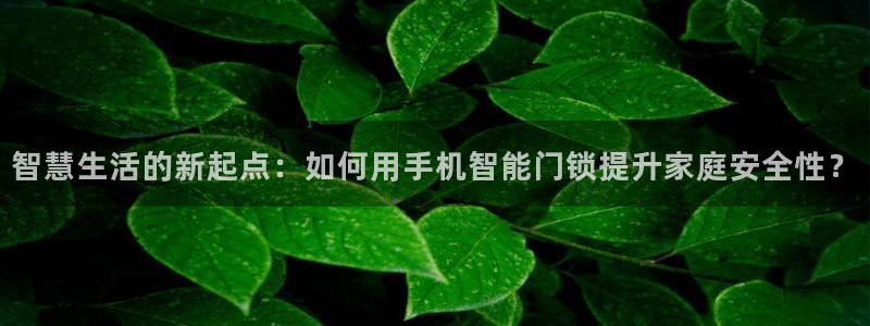 开丰娱乐注册登录：智慧生活的新起点：如何用手机智能门锁提升家