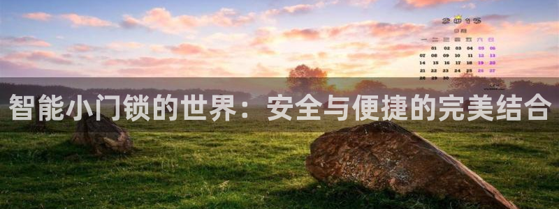 开丰娱乐下载安装：智能小门锁的世界：安全与便捷的完美结合