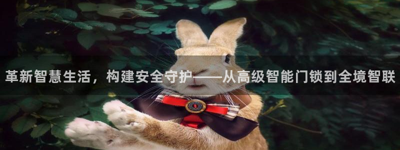 开丰娱乐天富娱乐：革新智慧生活，构建安全守护——从高级智能门