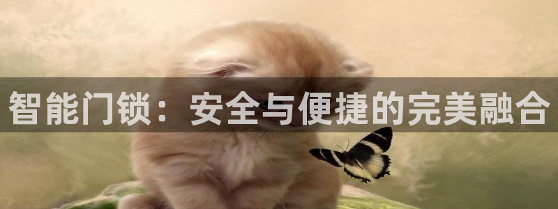开丰娱乐行业恢复时间：智能门锁：安全与便捷的完美融合