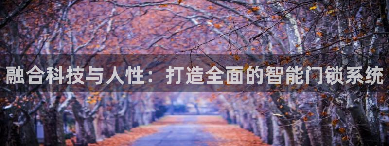 开丰娱乐怎么样：融合科技与人性：打造全面的智能门锁系统