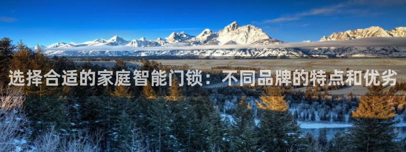 圩丰刚开的娱乐场所：选择合适的家庭智能门锁：不同品牌的特点和