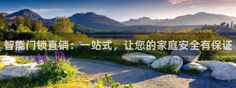 开丰娱乐注册：智能门锁直销：一站式，让您的家庭安全有保证