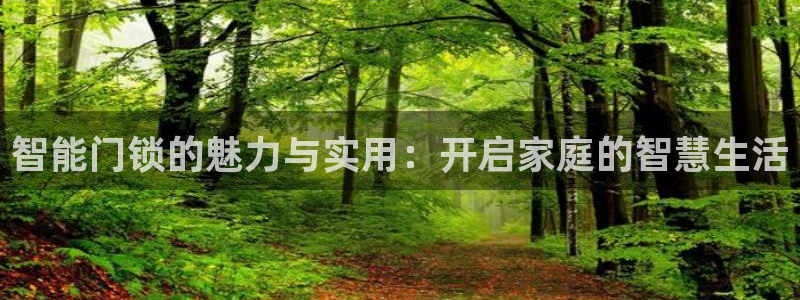 开丰娱乐月7O667：智能门锁的魅力与实用：开启家庭的智慧生