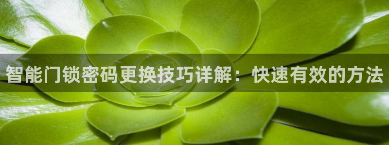 开丰娱乐违法吗：智能门锁密码更换技巧详解：快速有效的方法