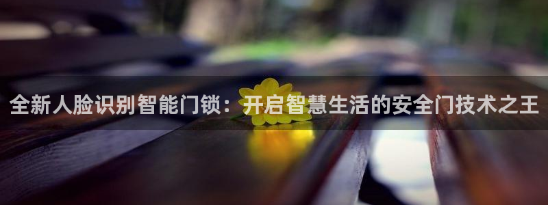 开丰娱乐2登录：全新人脸识别智能门锁：开启智慧生活的安全门技