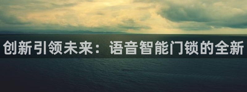 开丰娱乐趣 7O935：创新引领未来：语音智能门锁的全新