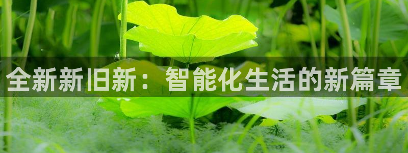 开丰娱乐平台提现失败：全新新旧新：智能化生活的新篇章