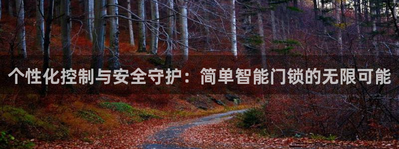 开丰娱乐日7O667：个性化控制与安全守护：简单智能门锁的无