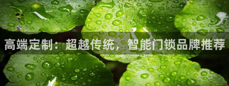 开丰娱乐官方app：高端定制：超越传统，智能门锁品牌推荐