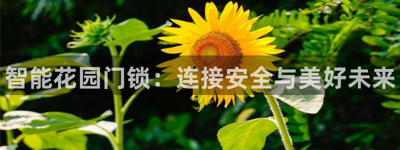 开丰娱乐姜333OO：智能花园门锁：连接安全与美好未来