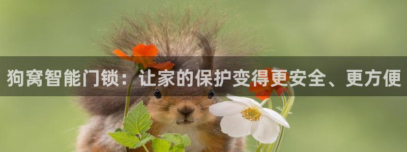 开丰娱乐前：狗窝智能门锁：让家的保护变得更安全、更方便