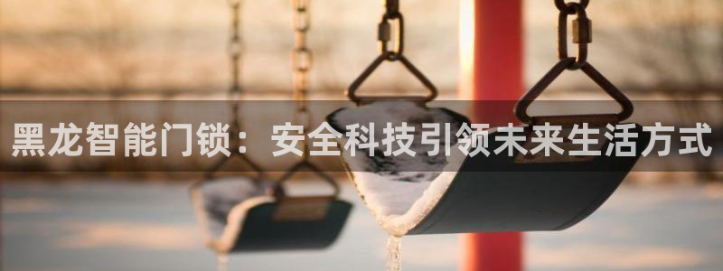 开丰娱乐登入地址在哪里：黑龙智能门锁：安全科技引领未来生活方