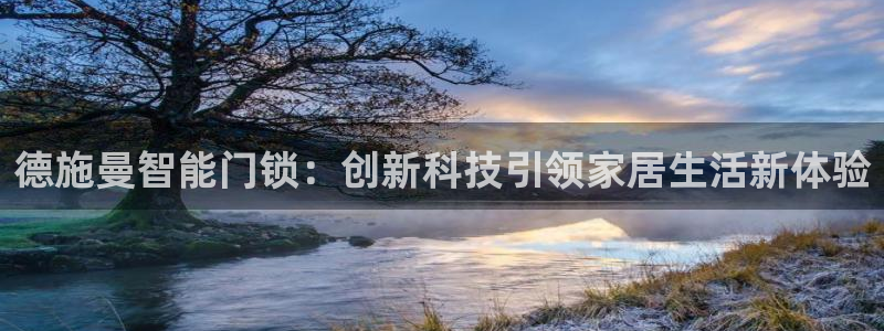 开丰娱乐千67五壹叁八：德施曼智能门锁：创新科技引领家居生活