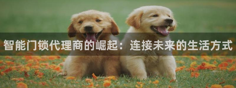 开丰娱乐怎么样：智能门锁代理商的崛起：连接未来的生活方式