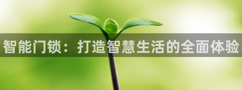 开丰娱乐下：智能门锁：打造智慧生活的全面体验