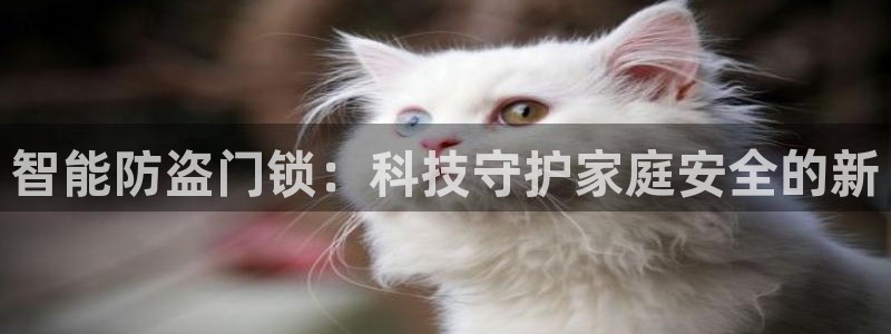 开丰娱乐测速：智能防盗门锁：科技守护家庭安全的新