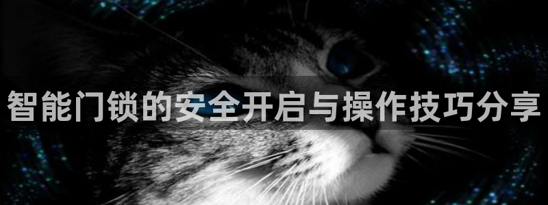 开丰娱乐67 5138：智能门锁的安全开启与操作技巧分享