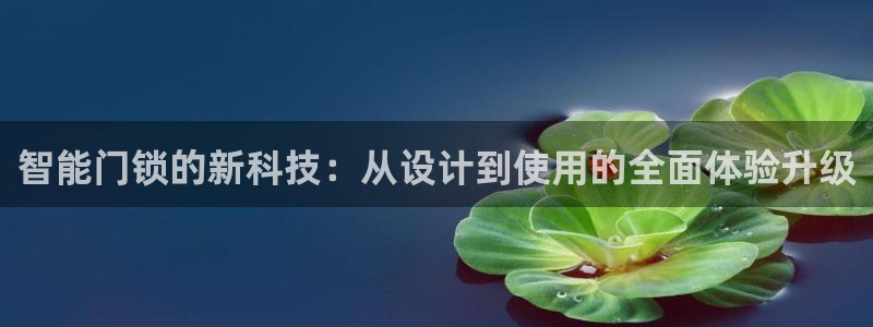 开丰娱乐天：智能门锁的新科技：从设计到使用的全面体验升级