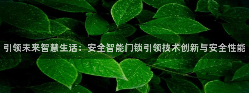 开丰娱乐登录注册：引领未来智慧生活：安全智能门锁引领技术创新