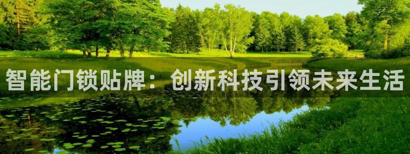 开丰娱乐登录：智能门锁贴牌：创新科技引领未来生活