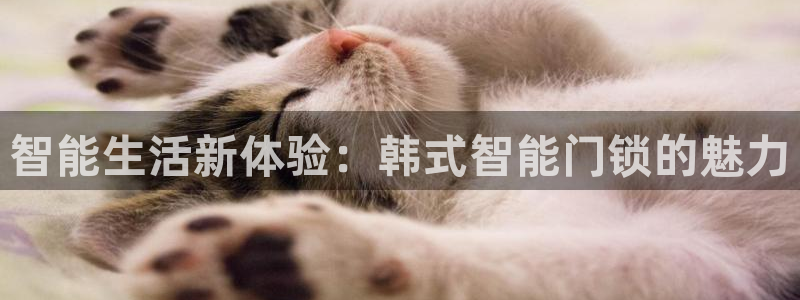 开丰娱乐网站官网下载：智能生活新体验：韩式智能门锁的魅力