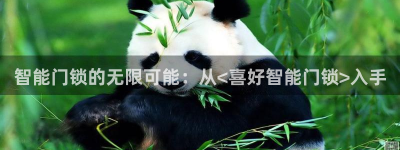 开丰娱乐平台地址在哪里：智能门锁的无限可能：从<喜好智能门锁