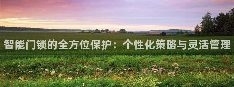 开丰娱乐除7O777：智能门锁的全方位保护：个性化策略与灵活