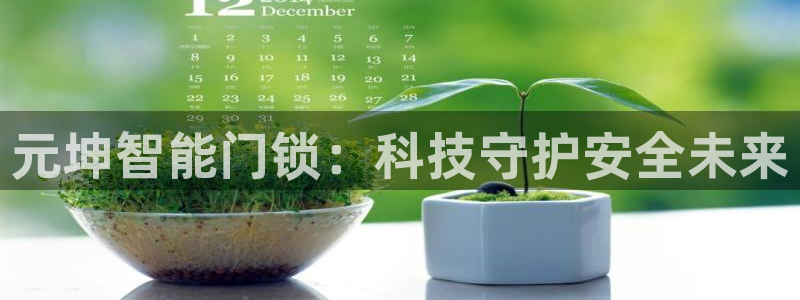 开丰娱乐登陆：元坤智能门锁：科技守护安全未来