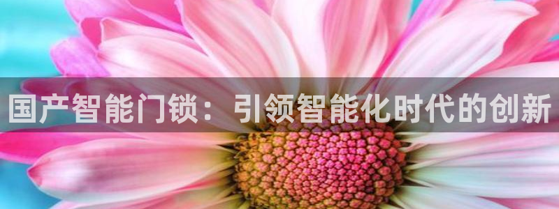 开丰娱乐下7O667：国产智能门锁：引领智能化时代的创新