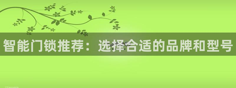 开丰娱乐更多平台：智能门锁推荐：选择合适的品牌和型号