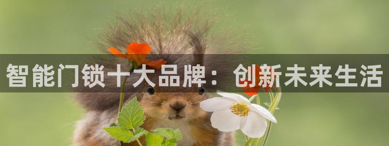 开丰娱乐日7O667：智能门锁十大品牌：创新未来生活