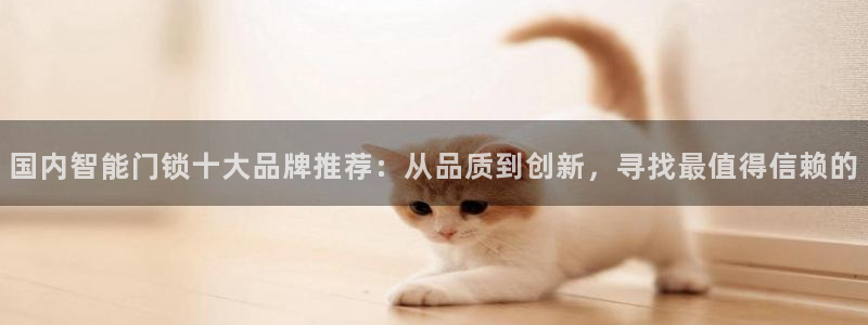 开丰娱乐联系q徽22212：国内智能门锁十大品牌推荐：从品质