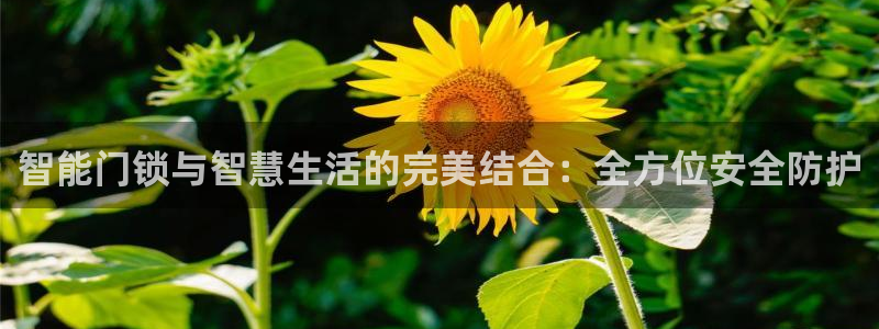 开丰娱乐寸六七五一38：智能门锁与智慧生活的完美结合：全方位