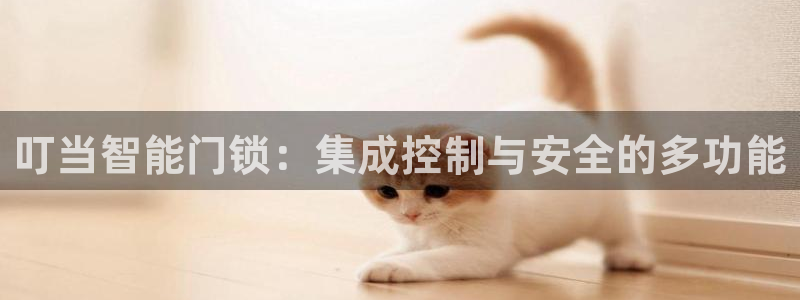 开丰娱乐左7O667：叮当智能门锁：集成控制与安全的多功能
