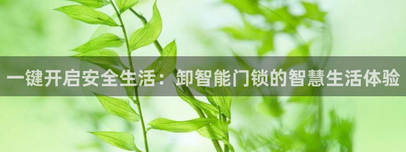 开丰娱乐官网平台下载：一键开启安全生活：卸智能门锁的智慧生活