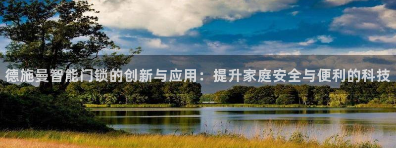 开丰娱乐联系q徽22212：德施曼智能门锁的创新与应用：提升