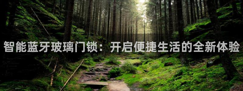 开丰娱乐官网：智能蓝牙玻璃门锁：开启便捷生活的全新体验