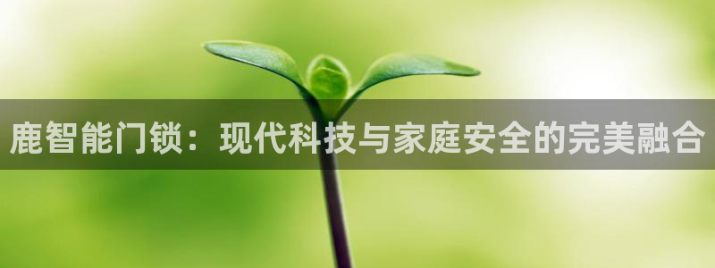 开丰娱乐官网招聘：鹿智能门锁：现代科技与家庭安全的完美融合