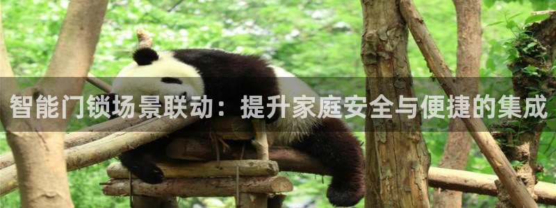 开丰娱乐登入地址在哪儿：智能门锁场景联动：提升家庭安全与便捷