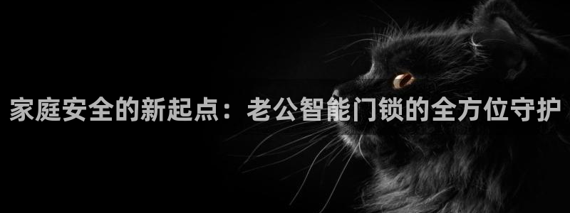 开丰娱乐官方app：家庭安全的新起点：老公智能门锁的全方位守