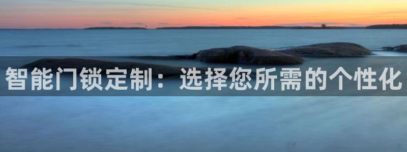 圩丰刚开的娱乐场所：智能门锁定制：选择您所需的个性化