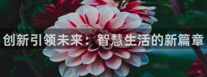 开丰娱乐登陆地址：创新引领未来：智慧生活的新篇章