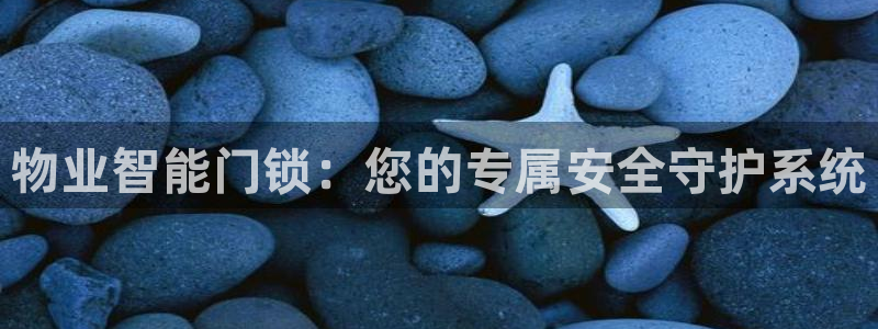 开丰娱乐怎么开转点：物业智能门锁：您的专属安全守护系统