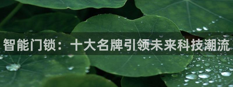 开丰娱乐注册资金多少：智能门锁：十大名牌引领未来科技潮流