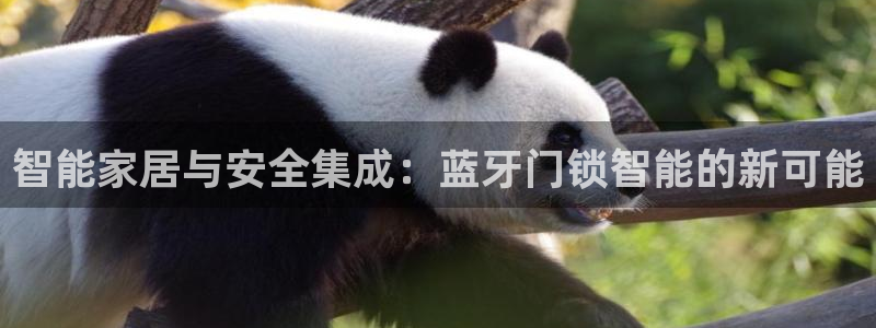 开丰娱乐下载安装：智能家居与安全集成：蓝牙门锁智能的新可能