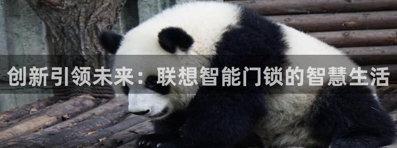 开丰娱乐天7O667：创新引领未来：联想智能门锁的智慧生活