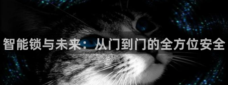 开丰娱乐官网招聘：智能锁与未来：从门到门的全方位安全